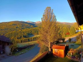 Ferienwohnung St. Wolfgang am Zirbitzkogel